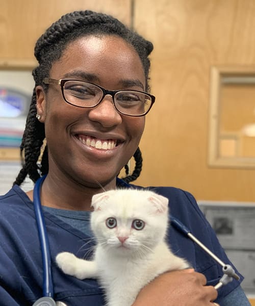 Meet Jones Baltimore Veterinarian