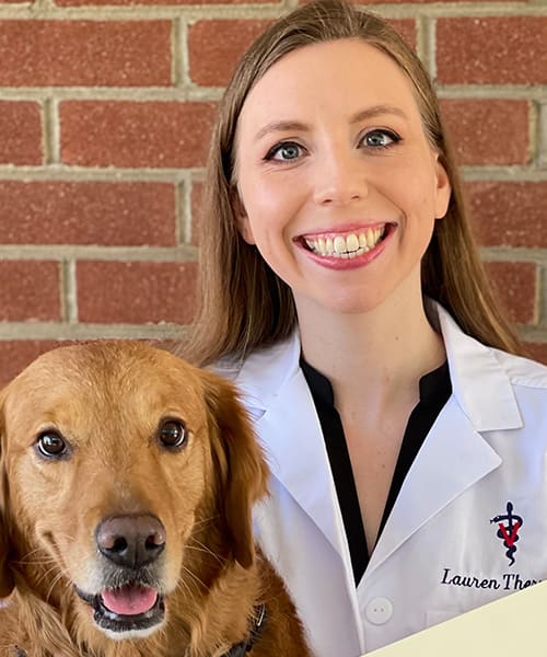 Meet Therriault Baltimore Veterinarian